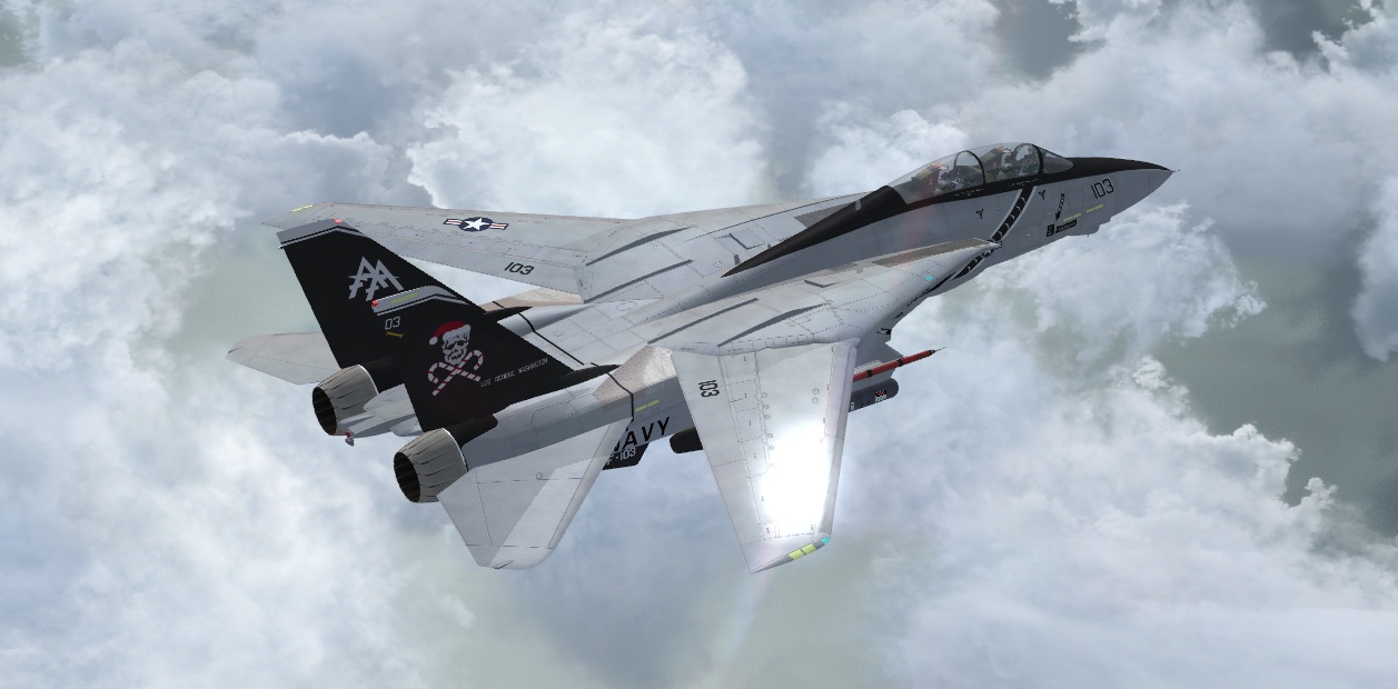 F-14-1.jpg